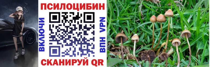 Галлюциногенные грибы Cubensis  Купить  Барабинск 